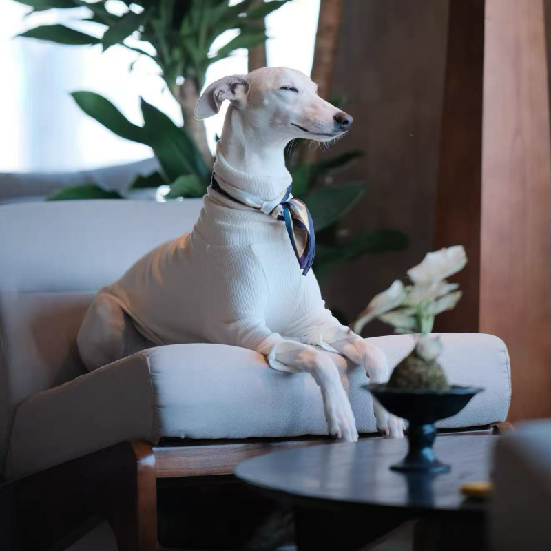 AEROE High-Neck Dog Thermal Base Shirt - Slim Fit Fleece Layering Vest for Italian Greyhound & Whippet Clothes