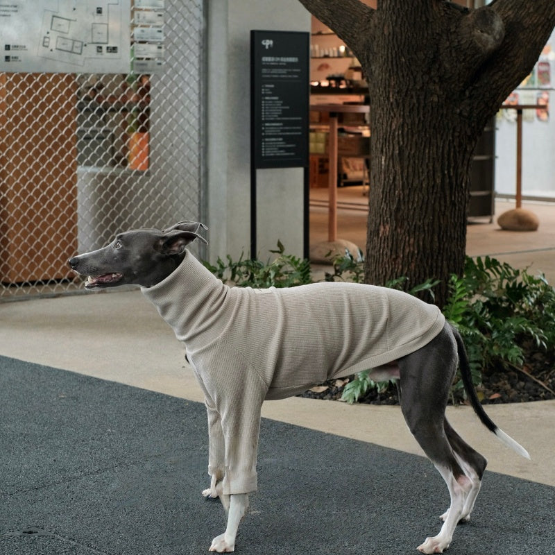 AEROE High-Neck Dog Thermal Base Shirt - Slim Fit Fleece Layering Vest for Italian Greyhound & Whippet Clothes
