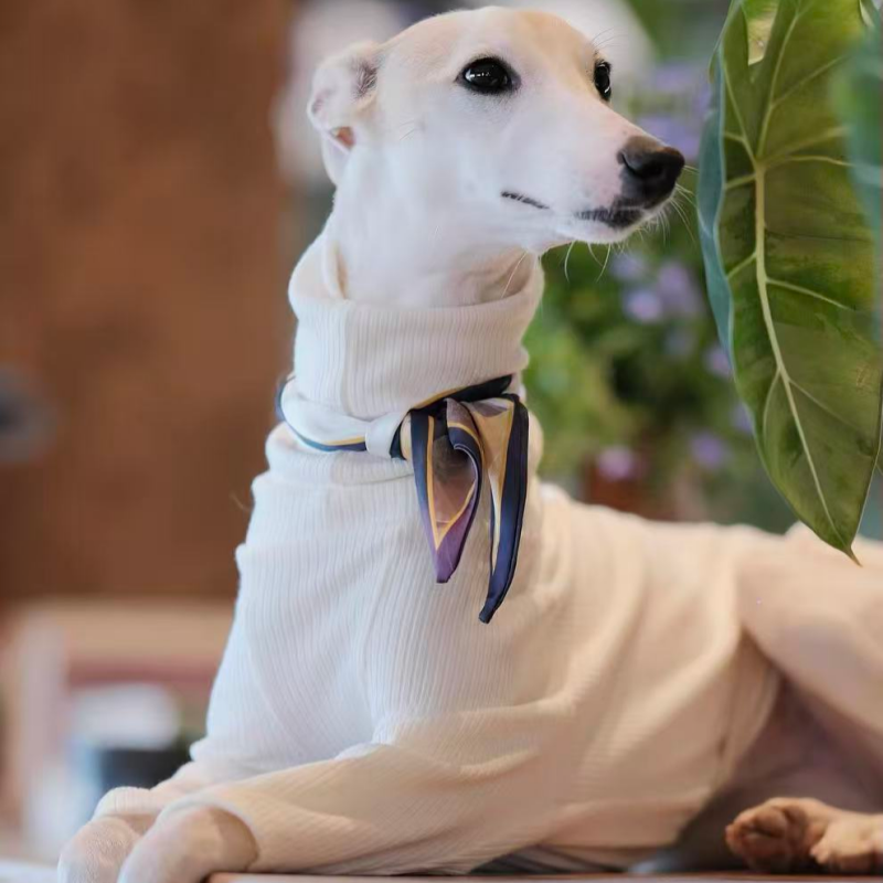 AEROE High-Neck Dog Thermal Base Shirt - Slim Fit Fleece Layering Vest for Italian Greyhound & Whippet Clothes