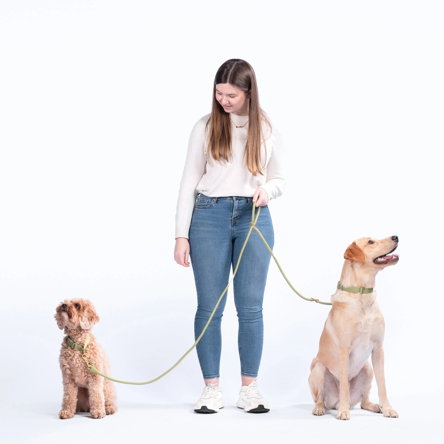 AEROE Multi-Configuration 10-in-1 Dog Leash - 7ft Heavy Duty Climbing Rope Lead with Brass Sliders for Hands-Free Cross-Body & Waist Walking