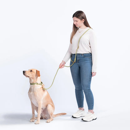 AEROE Multi-Configuration 10-in-1 Dog Leash - 7ft Heavy Duty Climbing Rope Lead with Brass Sliders for Hands-Free Cross-Body & Waist Walking