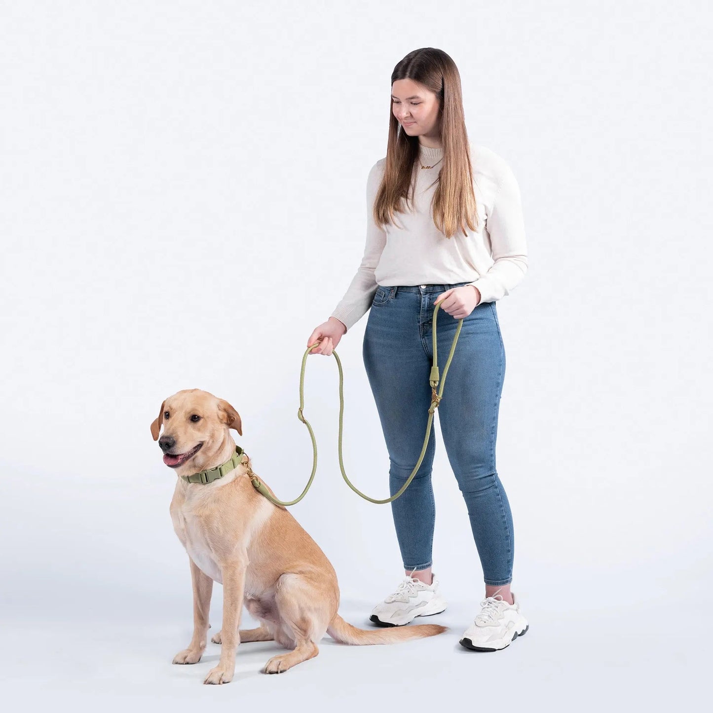 AEROE Multi-Configuration 10-in-1 Dog Leash - 7ft Heavy Duty Climbing Rope Lead with Brass Sliders for Hands-Free Cross-Body & Waist Walking