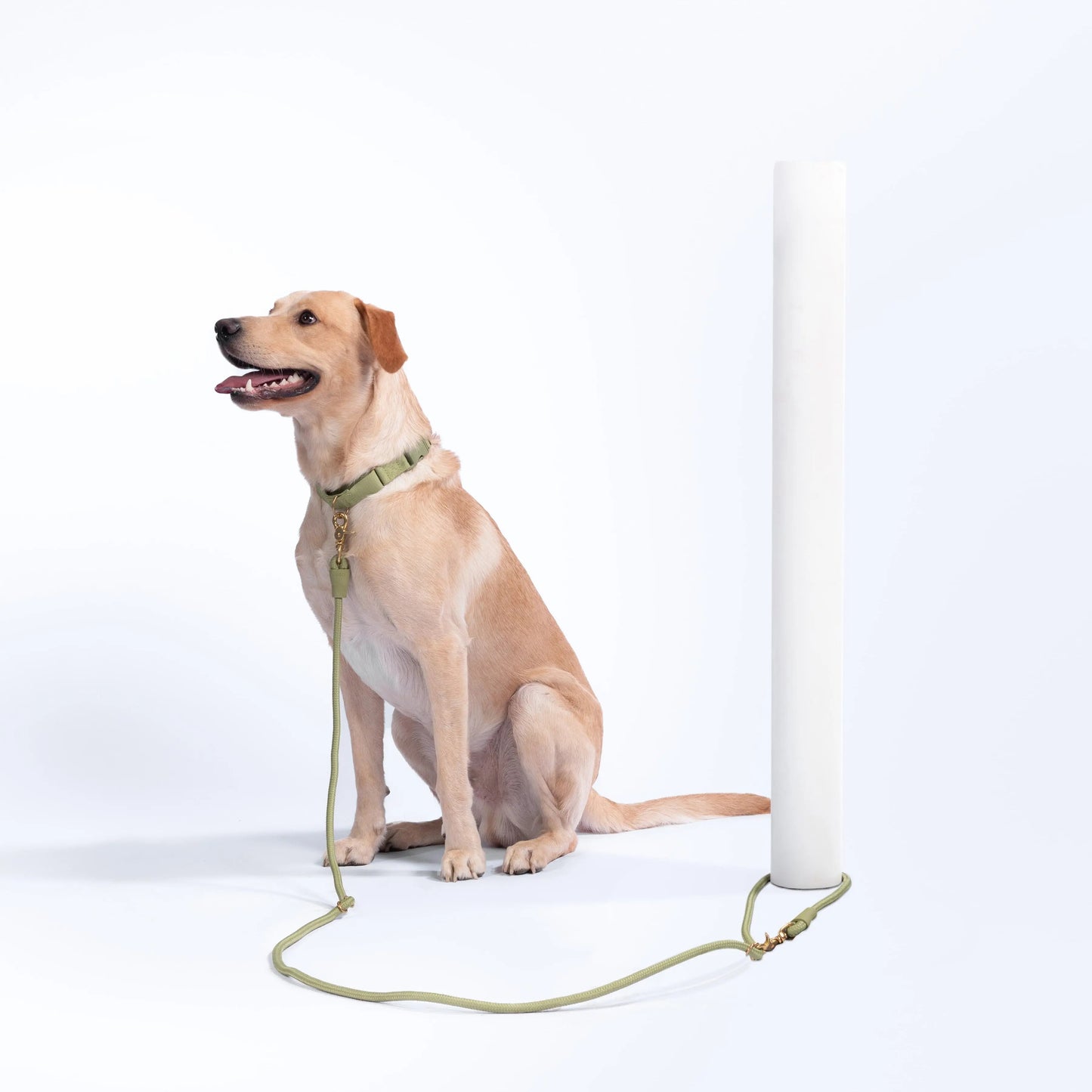 AEROE Multi-Configuration 10-in-1 Dog Leash - 7ft Heavy Duty Climbing Rope Lead with Brass Sliders for Hands-Free Cross-Body & Waist Walking