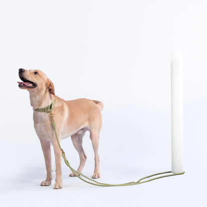AEROE Multi-Configuration 10-in-1 Dog Leash - 7ft Heavy Duty Climbing Rope Lead with Brass Sliders for Hands-Free Cross-Body & Waist Walking