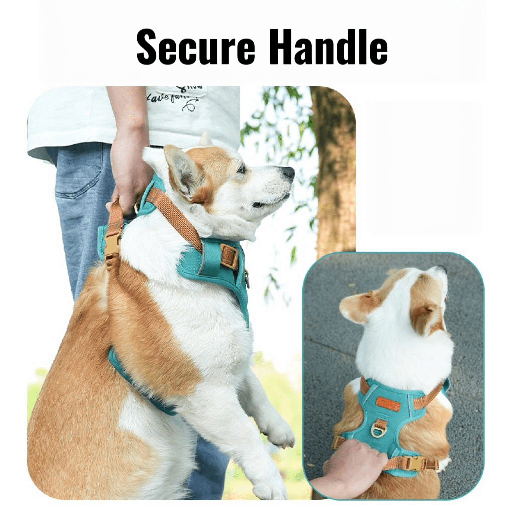 AEROE Minimalist Dog Walking Harness with Safety Control Handle - Heavy Duty Anti-Escape Outdoor Gear