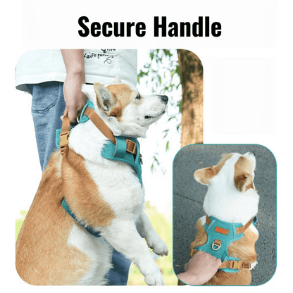 AEROE Minimalist Dog Walking Harness with Safety Control Handle - Heavy Duty Anti-Escape Outdoor Gear